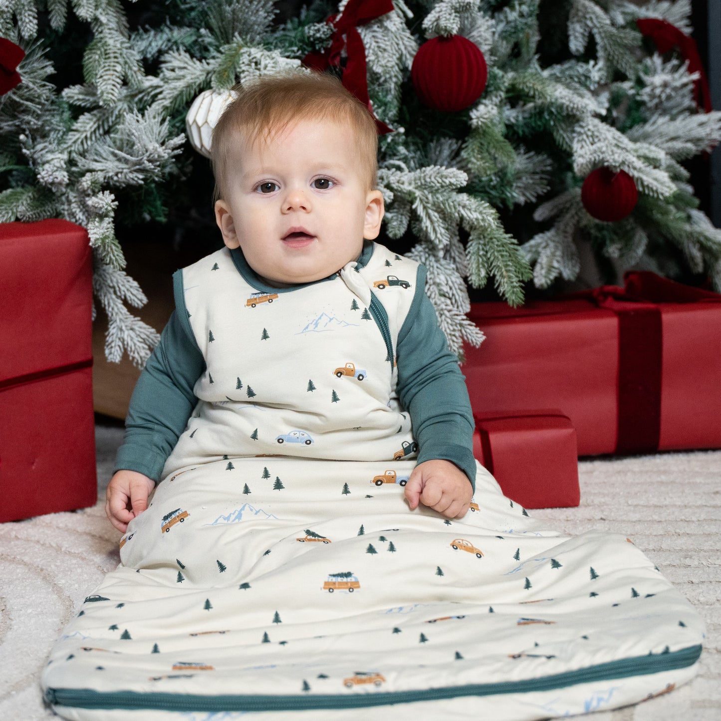 bamboo sleep sack 2.5 tog winter road trip print